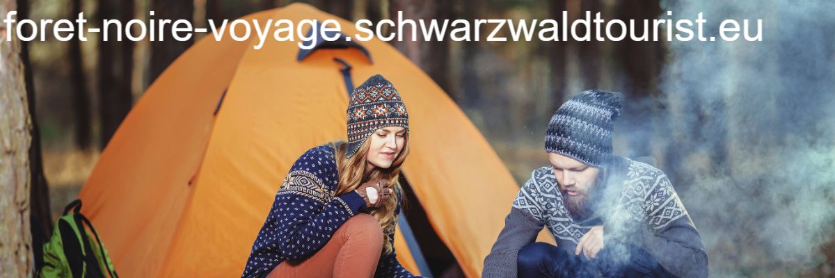foret-noire-voyage.schwarzwaldtourist.eu